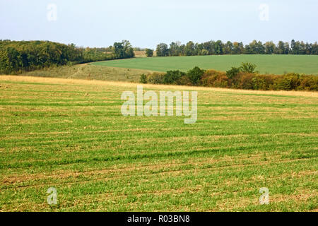 Paysage rural au début de l'automne. Forêt, champs, ciel Banque D'Images