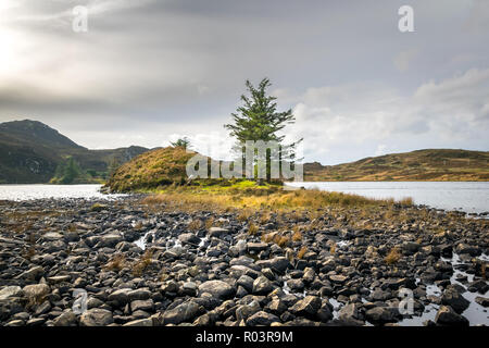 Cette photo a été prise sur la côte rocheuse d'une petite île dans le lac de montagne. Il y a trois pins sur l'île. Banque D'Images