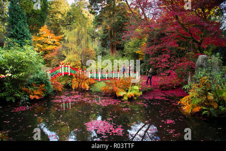 30/07/18 juste à temps pour l'Halloween, une émeute d'automne couleur rouge sang encadre la Chine Jardin à Biddulph Grange Jardin, Staffordshire. Tous droits Banque D'Images