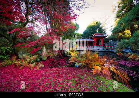 30/07/18 juste à temps pour l'Halloween, une émeute d'automne couleur rouge sang encadre la Chine Jardin à Biddulph Grange Jardin, Staffordshire. Tous droits Banque D'Images