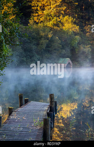 Un automne brumeux matin au lever du soleil sur le Loch Ard dans les Trossachs National Park Banque D'Images
