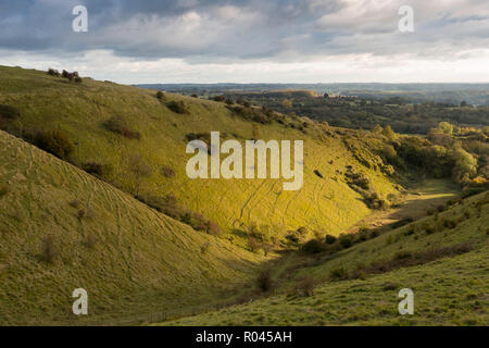 La fin de l'après-midi la lumière en cours d'octobre sur le creux de pétrissage du diable, une vallée glaciaire dans les Kent Downs AONB près de Wye, au Royaume-Uni. Banque D'Images