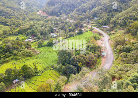 Matin de paysage avec village rural road et vert rizière à Sabah Malaisie Bornéo Kiulu. Banque D'Images