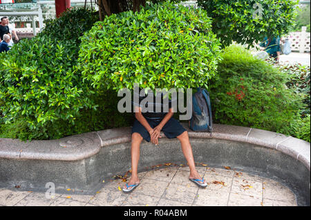 République de Singapour, l'homme sous un arbre Banque D'Images