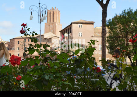 Vue sur la Via dei Fori Imperiali est la rue touristique principale de Rome, grâce à la floraison des rosiers sauvages, le 7 octobre 2018 Banque D'Images