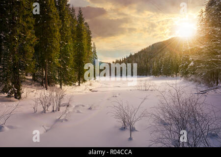 Forêt d'hiver en montagne au coucher du soleil dans la lumière du soir. grands sapins couverts de neige autour de la prairie Banque D'Images