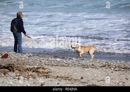 Menton, France - 21 mars 2018 : Man On Beach Throwing Stick pour chien, les grosses vagues de la mer Méditerranée en arrière-plan, d'Azur, Banque D'Images
