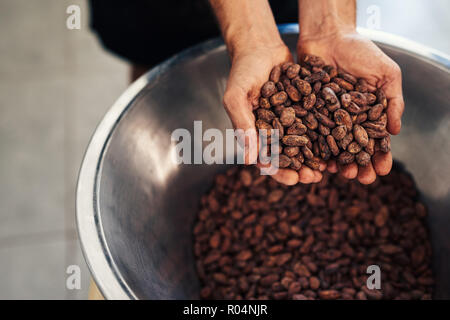 Worker holding cocao haricots dans une fabrique de chocolat artisanale Banque D'Images