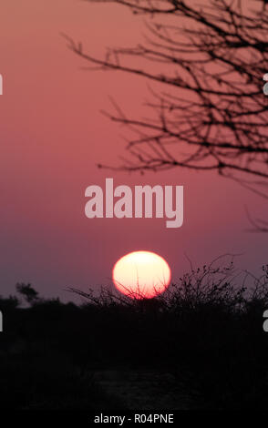 Coucher de soleil africain ; Spitzkoppe, Afrique Namibie Banque D'Images