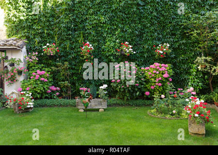 Jardin à la française avec une pelouse verte, vigne, hydrangea et fleur de géranium Banque D'Images