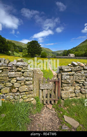 Un chemin qui traverse le buttercup meadows à Muker dans Swaledale, North Yorkshire, Angleterre, Royaume-Uni, Europe Banque D'Images