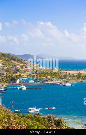 Avis de Clifton Harbour, Union Island, les Grenadines, Saint Vincent et les Grenadines, Antilles, Caraïbes, Amérique Centrale Banque D'Images