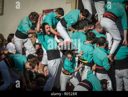 Barcelone, Espagne. 1er novembre 2018. Les membres des castellers de Vilafranca créer "3 de 10 Fm' tour de l'extrême difficulté de la dernière représentation de la saison de Vilafranca del Penedès, Barcelone. La Catalogne.Espagne. Credit : rosdemora/Alamy Live News Banque D'Images