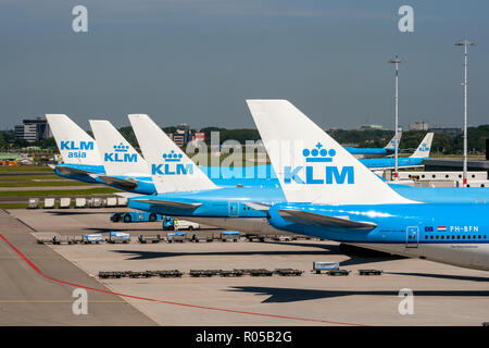 AMSTERDAM, Pays-Bas - 27 juin 2011 : les avions de KLM Airlines aux portes de l'aéroport d'Amsterdam Schiphol. Banque D'Images