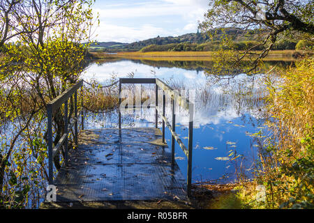 Lissard lake sur une journée calme reflétant les couleurs de l'automne ou les couleurs sur la surface de l'eau. West Cork Irlande Banque D'Images