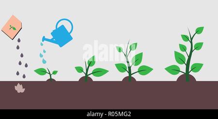 Le processus de planter un arbre et stades de croissance d'un arbre d'une graine Illustration de Vecteur