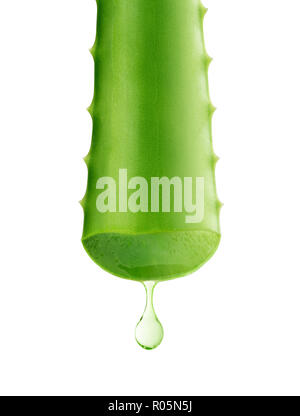 Aloe Vera gel dripping isolé sur fond blanc Banque D'Images