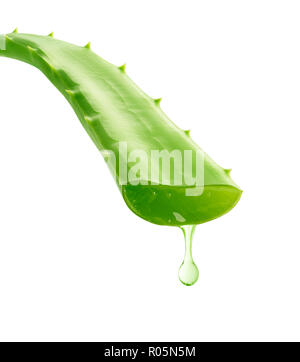 Aloe Vera gel dripping isolé sur fond blanc Banque D'Images