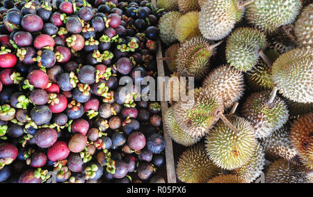 Fruits célèbre en Malaisie, Thaïlande et Indonésie le durian et mangoustan. Banque D'Images