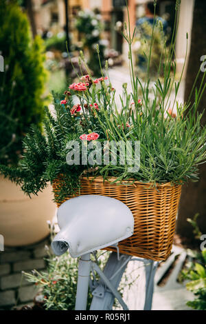 Vieux modèle Vintage de décoration location équipée avec panier de fleurs et de plantes dans le jardin. Banque D'Images