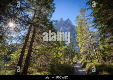 Tilt Shift effet du soleil du matin qui filtre à travers les sapins, avec de magnifiques sommets des Dolomites en arrière-plan, le Tyrol du Sud, Italie Banque D'Images