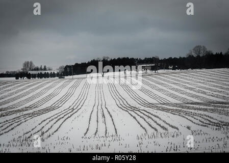 Paysage d'hiver du Canada de l'Ontario -scène champ couvert de neige avec sillons Banque D'Images