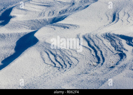 Territoire couvert de neige en hiver, Photo prise en libre Banque D'Images