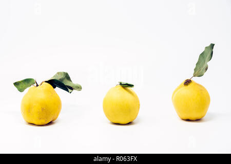 Trois fruits coing mûr organique ( Prunus dulcis), isolé sur fond clair. Utilisé pour faire de la marmelade. Banque D'Images