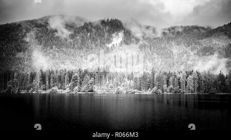 Paysage de montagne spectaculaire du noir et blanc. Lac et temps de brouillard sur le lac, forêt de pins, nature paisible scène. Nature Paysage Banque D'Images