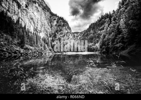 Paysage de montagne spectaculaire, image en noir et blanc. Processus abstrait, forêt de pins et de réflexion de l'eau du lac. Nature fond Banque D'Images