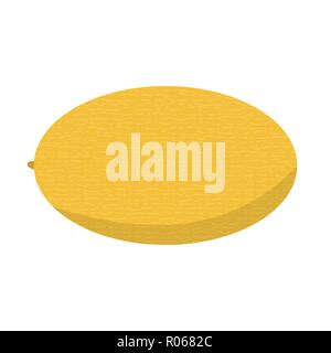 Melon jaune vector icône. Illustration pour votre conception Illustration de Vecteur