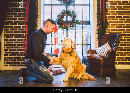 L'amitié de l'homme et le chien. Animaux de race golden retriever labrador shaggy dog. Un homme les trains, un chien apprend à donner une patte, d'exécuter des commandes à la maison sur C Banque D'Images