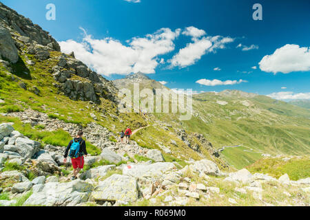 Randonneurs sur sentier en direction du Pizzo Tambo cf alpina, Pass, canton des Grisons, Suisse, Europe Banque D'Images