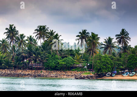 Belle vue sur la côte tropical dans Mirissa, Sri Lanka Banque D'Images