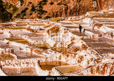 Terrasses de sel dans la vallée sacrée où les gens sont encore l'exploitation minière et de criblage des piscines en terrasses comme les Incas n il y a 1000 ans, le Pérou, Amérique du Sud Banque D'Images