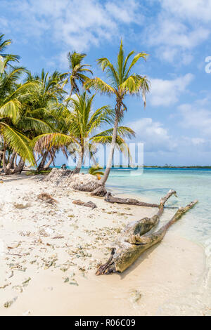 La magnifique île Pelicano dans les îles San Blas, Kuna Yala, Panama, Amérique Centrale Banque D'Images