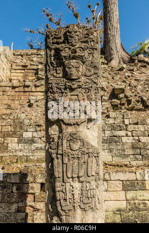 Les Stèles P sculpter à ruines de Copan, UNESCO World Heritage Site, Copan, Honduras, Amérique Centrale Banque D'Images