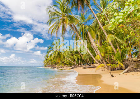 La plage de Punta Uva, Puerto Viejo de Limon, Costa Rica, Amérique Centrale Banque D'Images