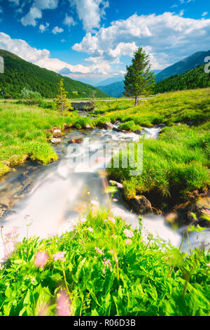 Stream In Parc National du Stelvio, Mortirolo Pass en Vallée Camonica, Brescia, Lombardie, Italie, Europe dsitrict Banque D'Images