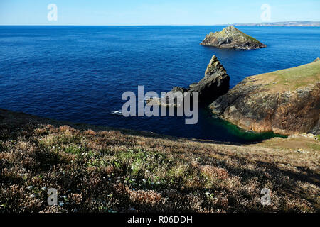 Port Quin, près de Polzeath, North Cornwall, Angleterre, Royaume-Uni, Europe Banque D'Images