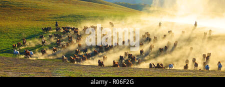 Wrangler Banque D'Images