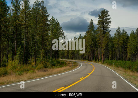 Route à travers la forêt, dans le Montana, USA Banque D'Images