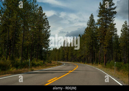 Route à travers la forêt, dans le Montana, USA Banque D'Images