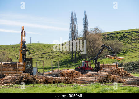 Opuha, South Canterbury, Nouvelle-Zélande, le 14 septembre 2018 : un camion chargé de grumes en pin à un site d'exploitation forestière pour l'exportation Banque D'Images