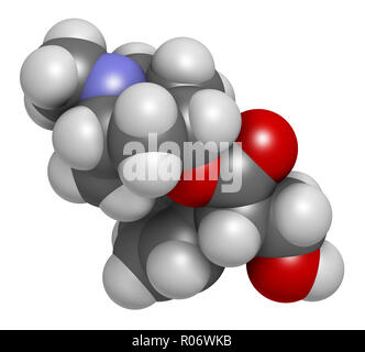 Hyoscyamine molécule alcaloïde. Sources d'herbes : jusquame noire, Mandrake, la stramoine, belladone et la tomate. Le rendu 3D. Les atomes sont représentés Banque D'Images