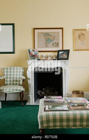 Cheminée dans salon vert et jaune Banque D'Images