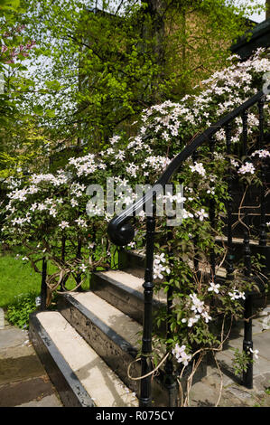 Fleurs sur bannister in garden Banque D'Images