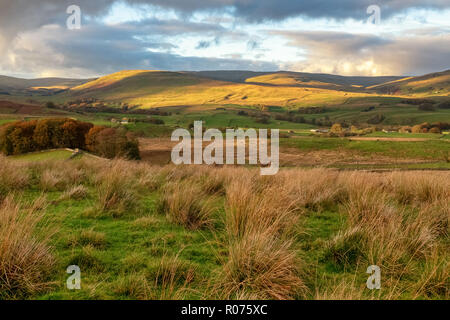 Shunner grand Fell est la troisième plus haute montagne dans le Yorkshire Dales, North Yorkshire, Angleterre, et le point le plus élevé de Wensleydale ; à 716 mètres Banque D'Images