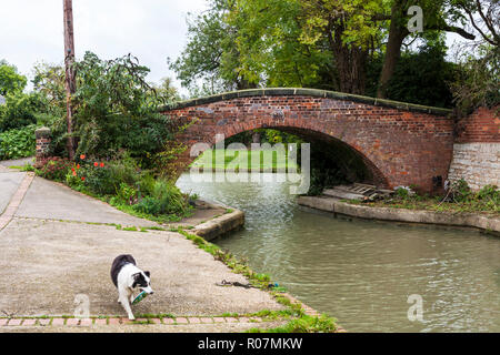 Granthams 70 Pont sur le bras à Grantham Hillmorton sur le nord du canal d'Oxford, Warwickshire, Angleterre, Royaume-Uni (Wop) Banque D'Images