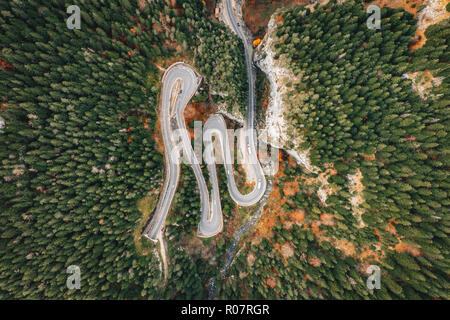 Route pittoresque au milieu de la forêt Banque D'Images